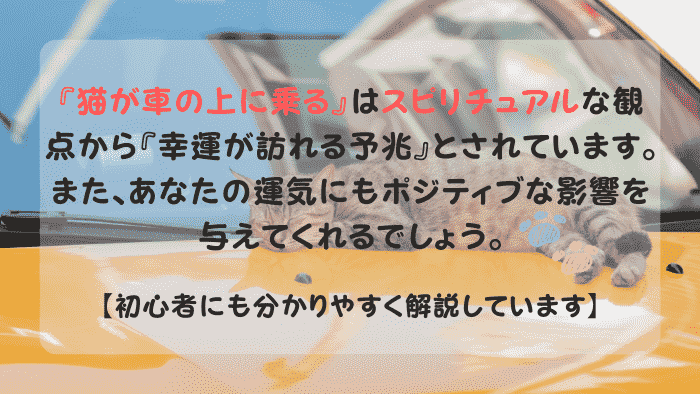 猫が車の上に乗る スピリチュアル
