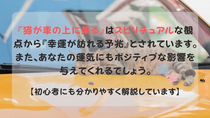 猫が車の上に乗る スピリチュアル
