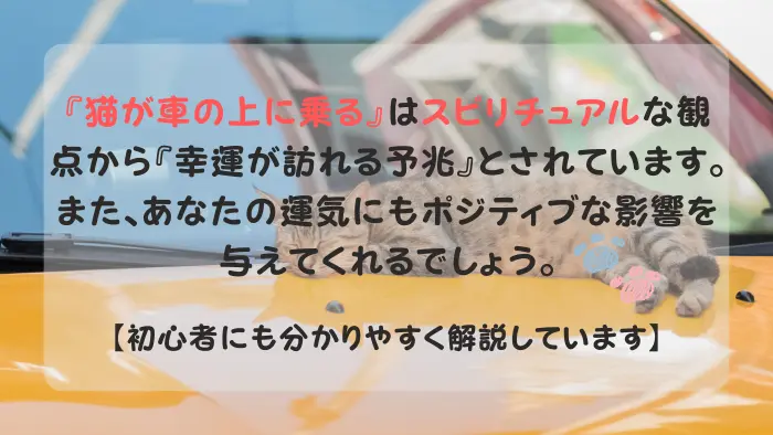 猫が車の上に乗る スピリチュアル