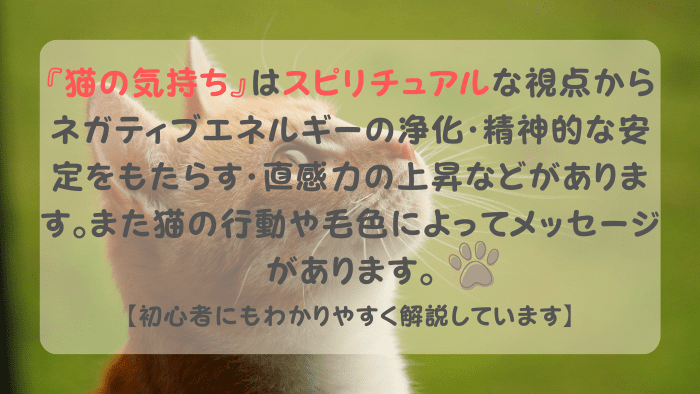 猫の気持ち スピリチュアル