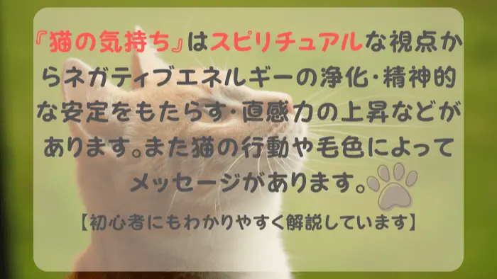 猫の気持ち スピリチュアル