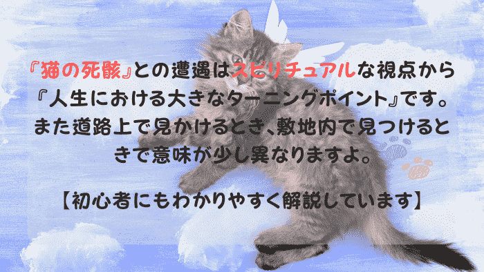 猫の死骸 スピリチュアル