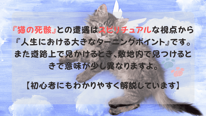 猫の死骸 スピリチュアル