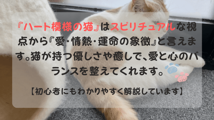 ハート模様の猫 スピリチュアル