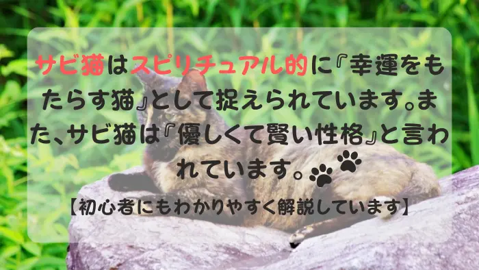 サビ猫 スピリチュアル