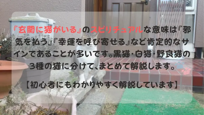 玄関に猫がいる スピリチュアル