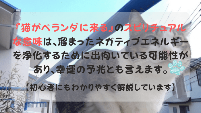 猫がベランダに来る スピリチュアル