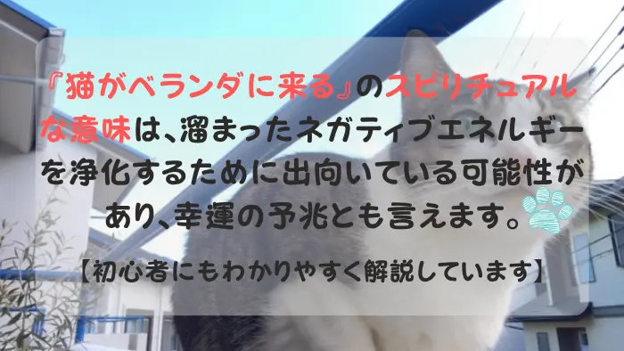 猫がベランダに来る スピリチュアル