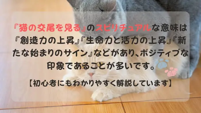猫の交尾を見る スピリチュアル