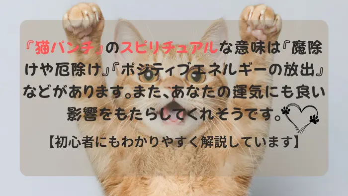 猫パンチ スピリチュアル