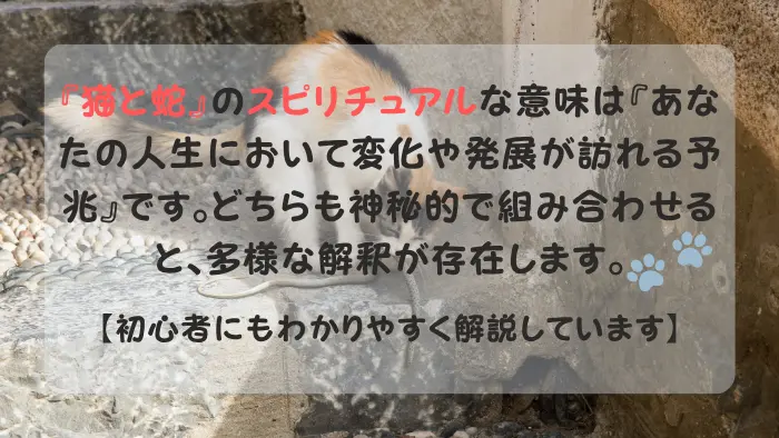 猫と蛇 スピリチュアル