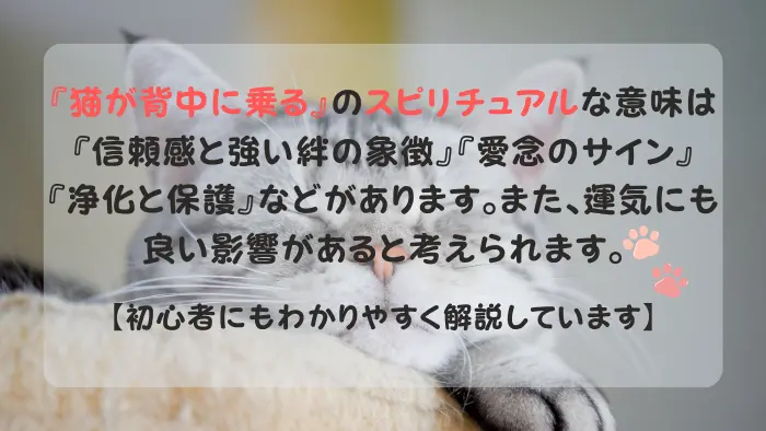 猫が背中に乗る スピリチュアル