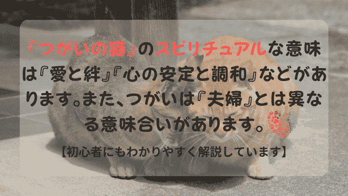つがいの猫 スピリチュアル
