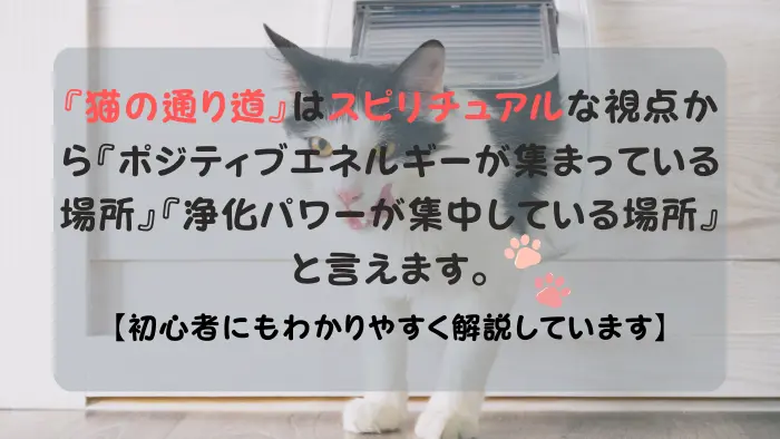 猫の通り道 スピリチュアル