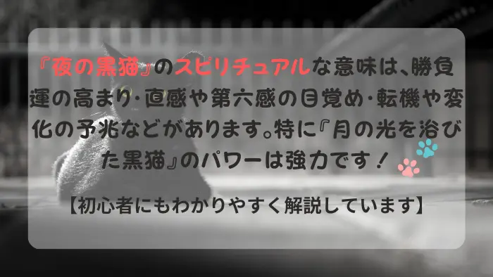 黒猫 スピリチュアル 夜