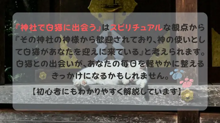 神社 白猫 スピリチュアル