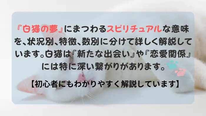 白猫 夢 スピリチュアル