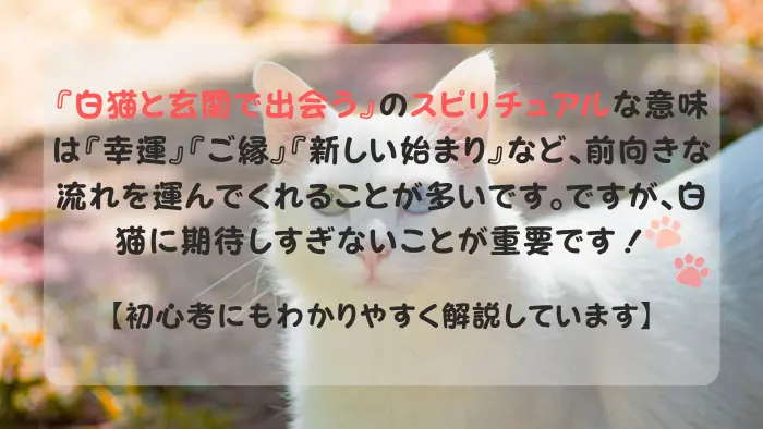 白猫 玄関 スピリチュアル