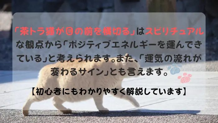 茶トラ猫 横切る スピリチュアル