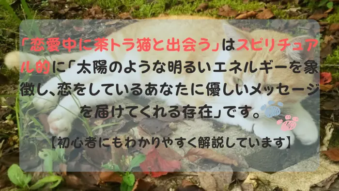 茶トラ猫 スピリチュアル 恋愛