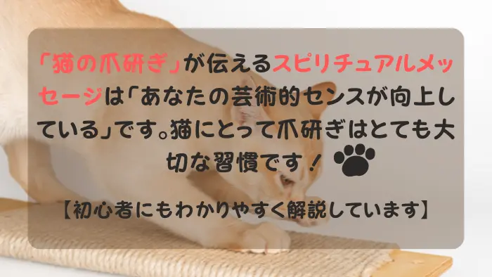 猫 スピリチュアル 爪研ぎ