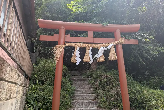 ブログ筆者が実際に撮影した 柴崎神社 我孫子 裏鳥居