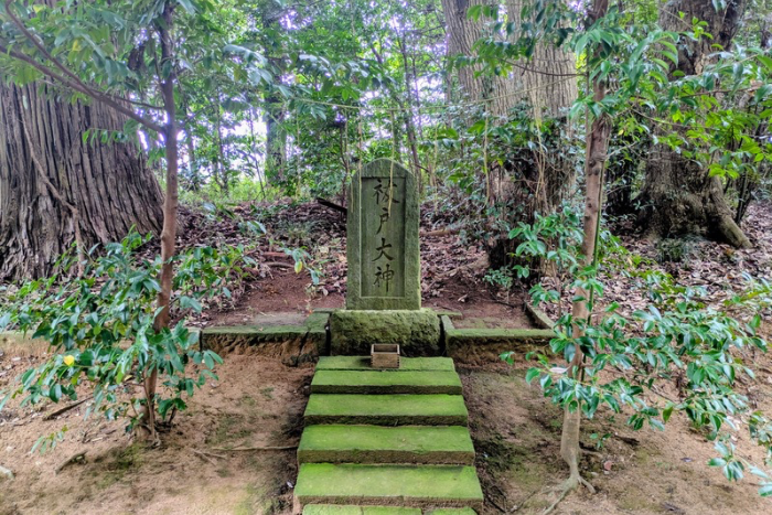 ブログ筆者が実際に撮影した 成田豊住熊野神社 大神の標柱