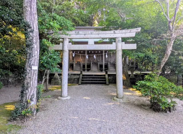 私が実際に撮影した 大洗磯前神社神の裏参り